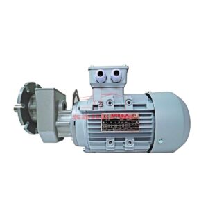 aparato motorreductor trifasico lateral