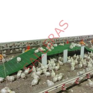 Plataforma de picoteo para granjas de pollos, juguete antiestrés para granjas de pollos.